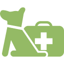 Dog with first aid kit